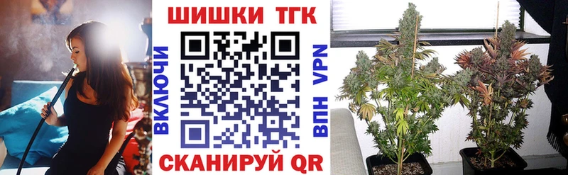 Бошки Шишки план Абаза